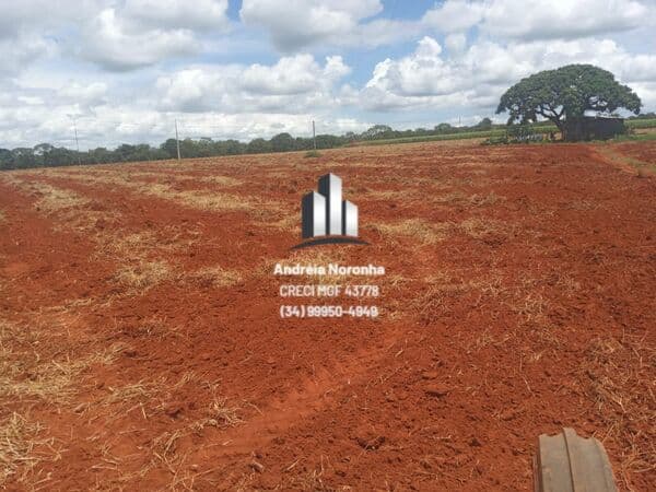 Sítio 7,75 Hectares 100% Planos