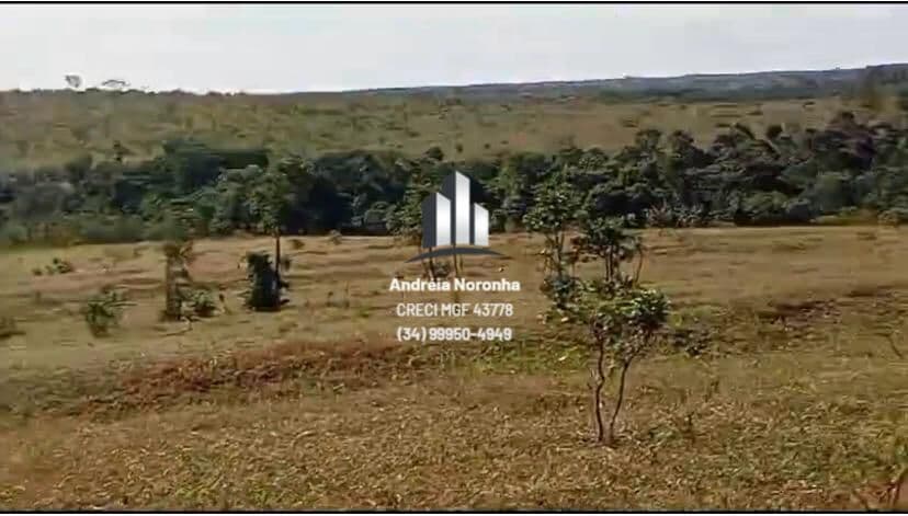 ✳️ FAZENDA PARA ARRENDAMENTO LAVOURA E PECUÁRIA NA REGIÃO DE PATOS DE MINAS/MG ✳️