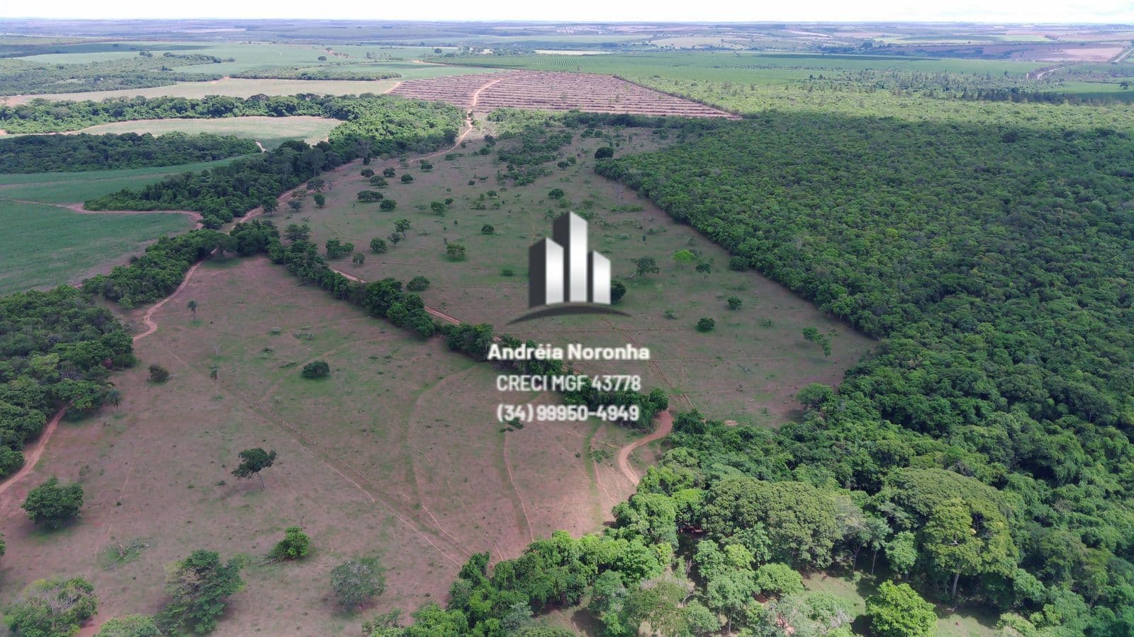 FAZENDA 46 ALQUEIRES (222 hectares) EM UBERLÂNDIA