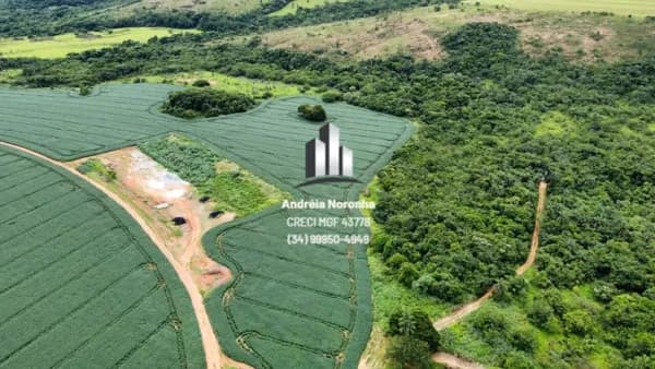 🌳🌴 FAZENDA DE 373 HECTARES EM COROMANDEL - MG 🌳🌴