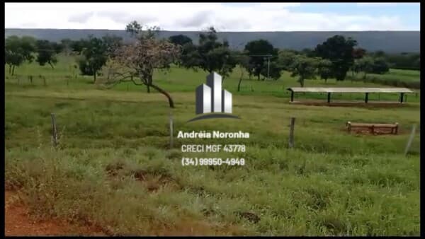 Fazenda 80 Hectares (Porteira Fechada) em Buritis/MG