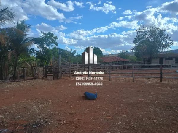 🌳🌴 Fazenda 205 Hectares 13 km De João Pinheiro 🌳🌴