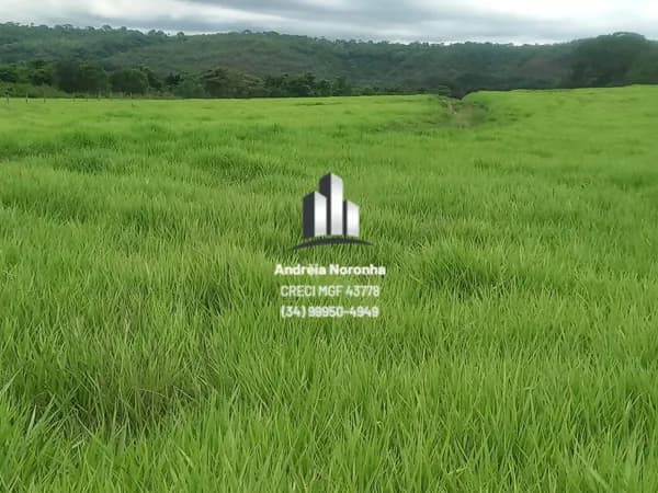 Fazenda 25,6 Alqueires em Iturama/MG