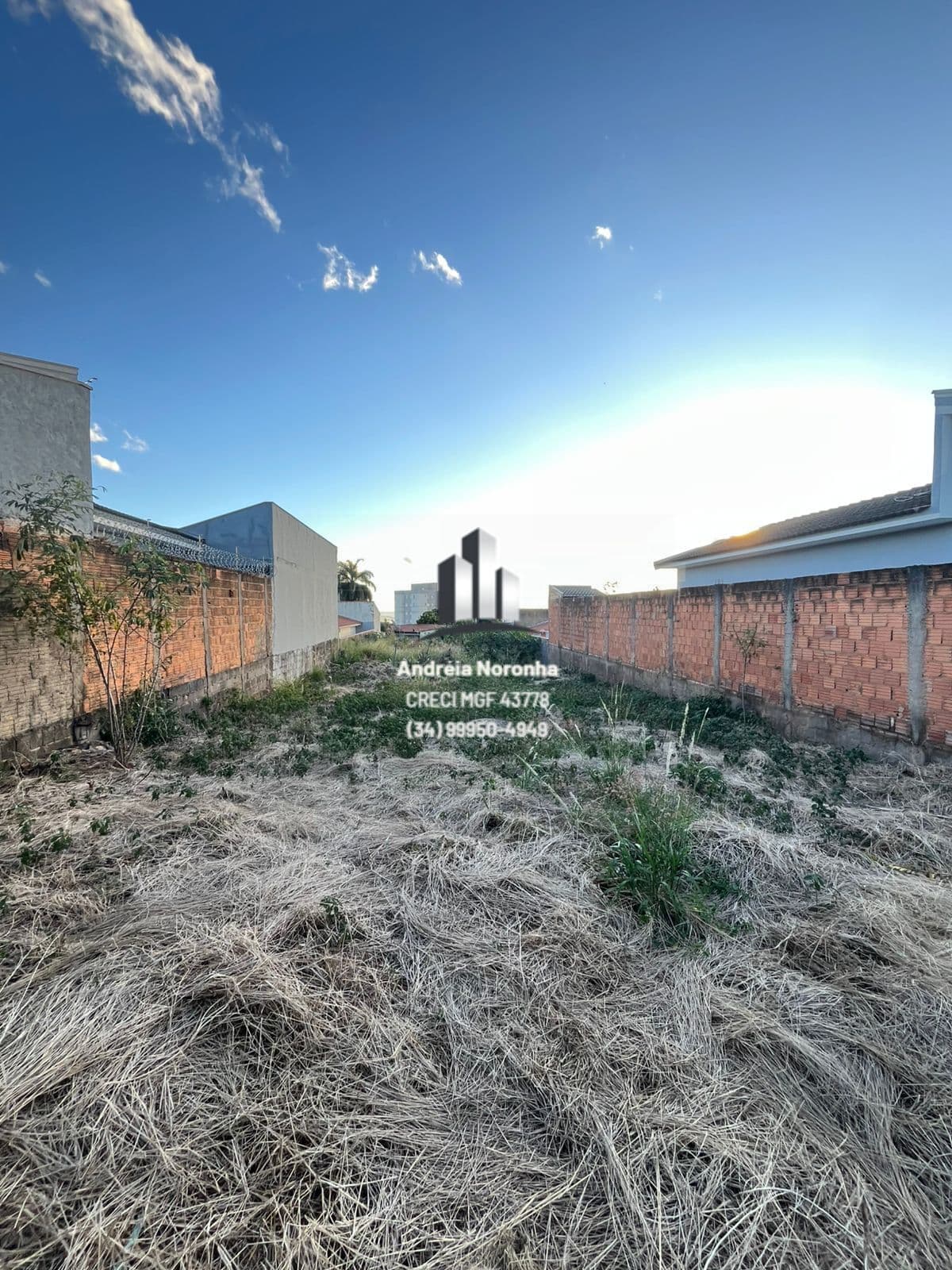 ✳️ LOTE À VENDA NO BAIRRO ALTO LIMOEIRO ✳️