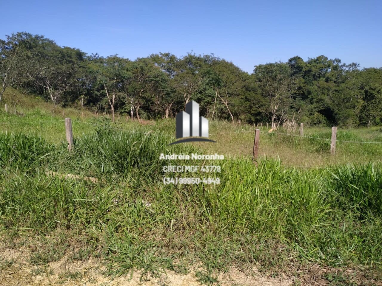 Chácaras com acesso ao Rio