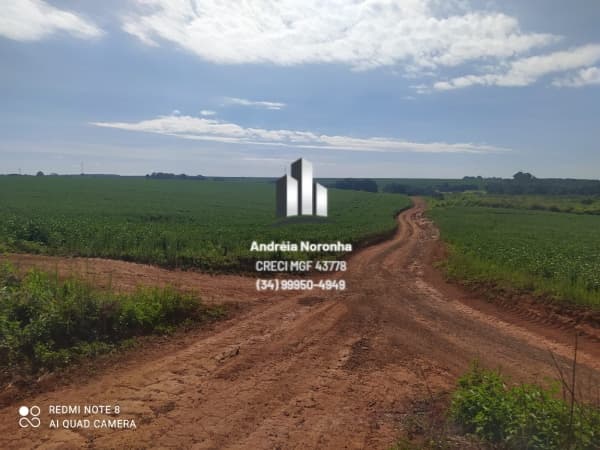 Fazenda 96 Hectares