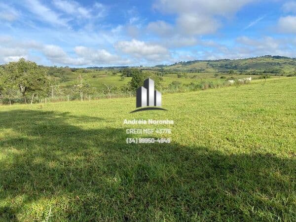 Fazenda 23 Hectares próxima ao Areado
