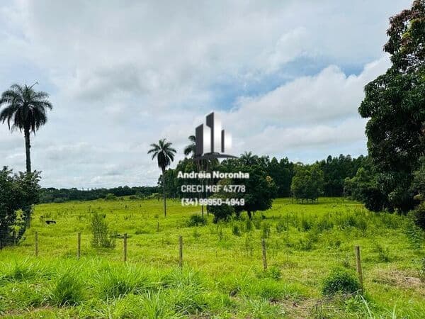Terreno 4,5 Hectares em Bom Sucesso