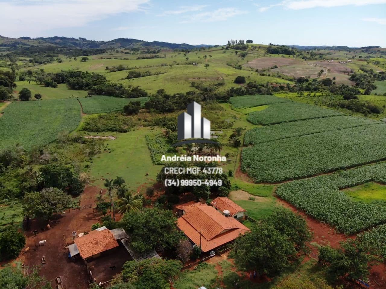 Sítio 11 hectares próximo à Pindaíbas