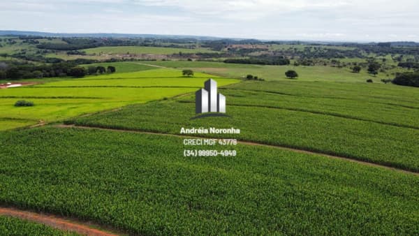 Fazenda 36 Hectares para Lavoura em Varjão de Minas/MG
