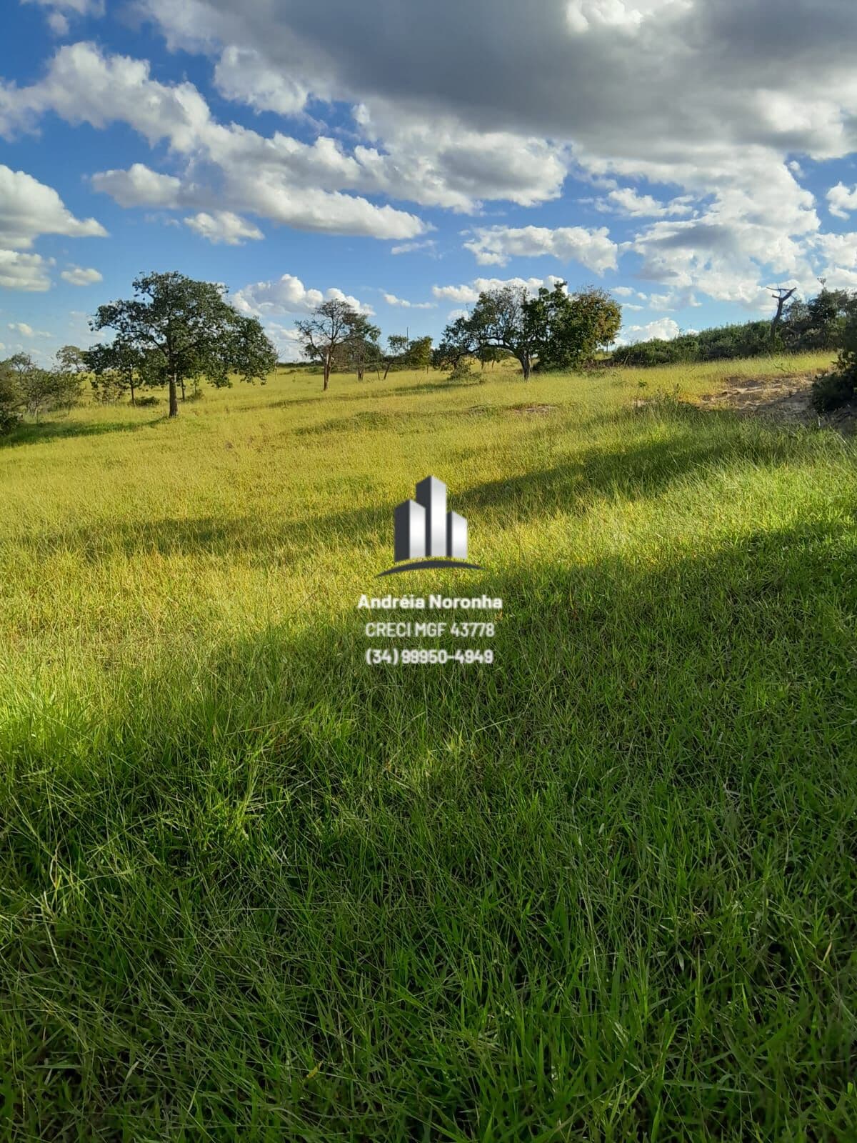 Fazenda 124 Hectares em Varjão de Minas/MG