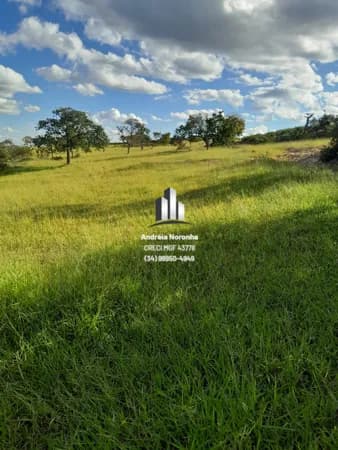 Fazenda 124 Hectares em Varjão de Minas/MG