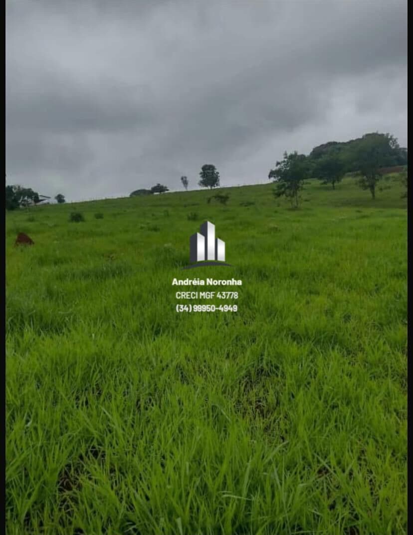 🌳🌴 SÍTIO DE 2 HECTARES NA REGIÃO DE CAMPO BONITO 🌳🌴