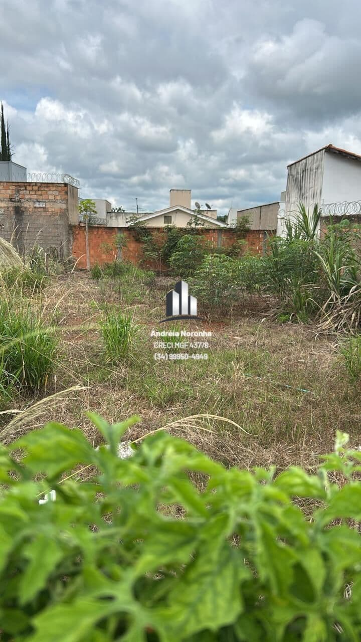 Lote 298 m² Bairro Laranjeiras