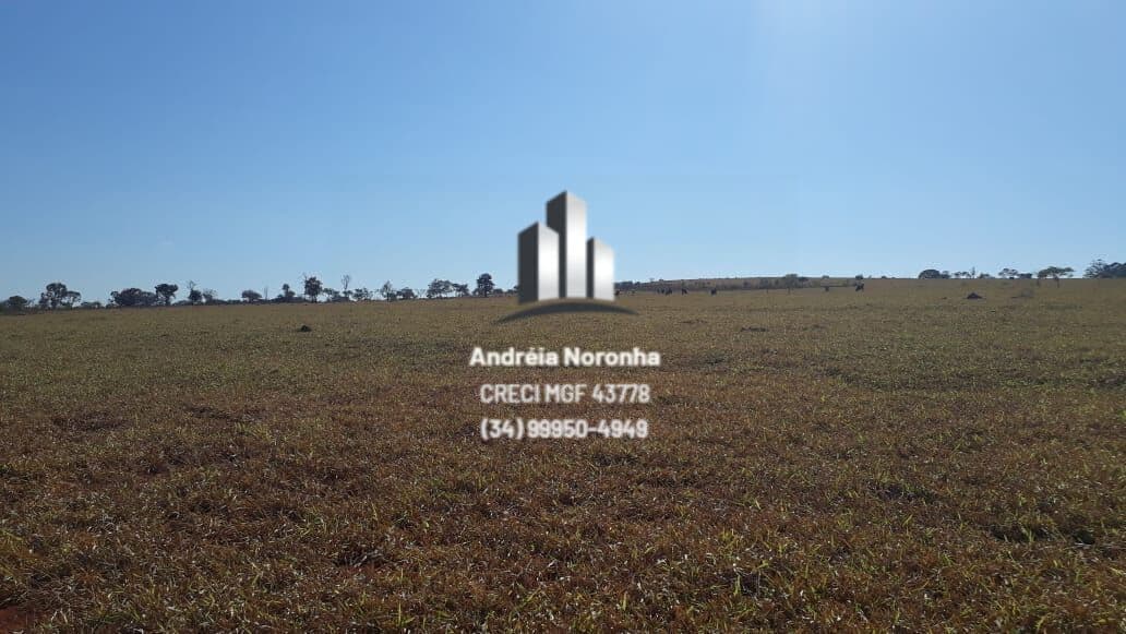 Fazenda 302 Hectares em Presidente Olegário/MG