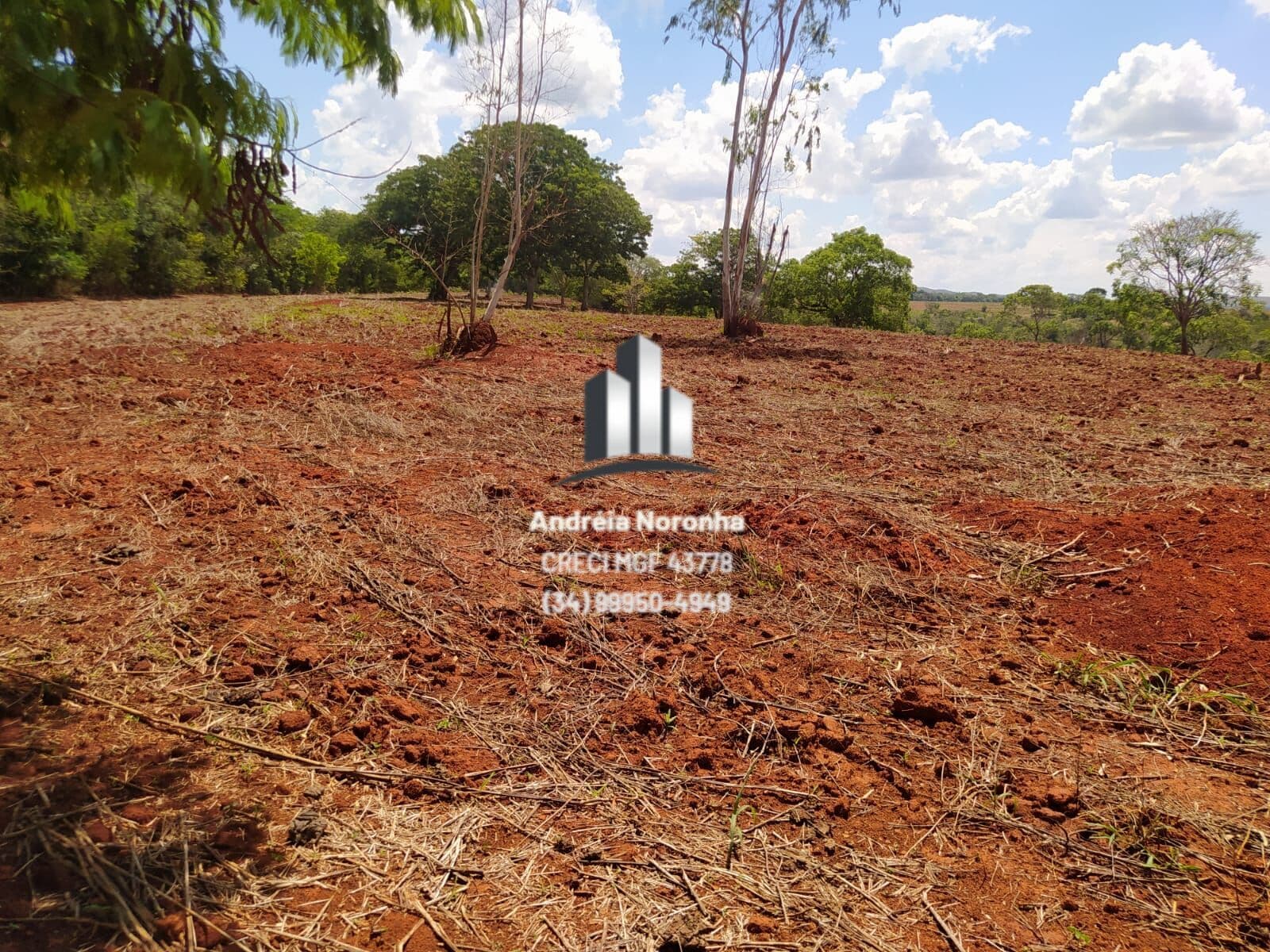 Fazenda 88 Hectares para lavoura em São Braz de Minas