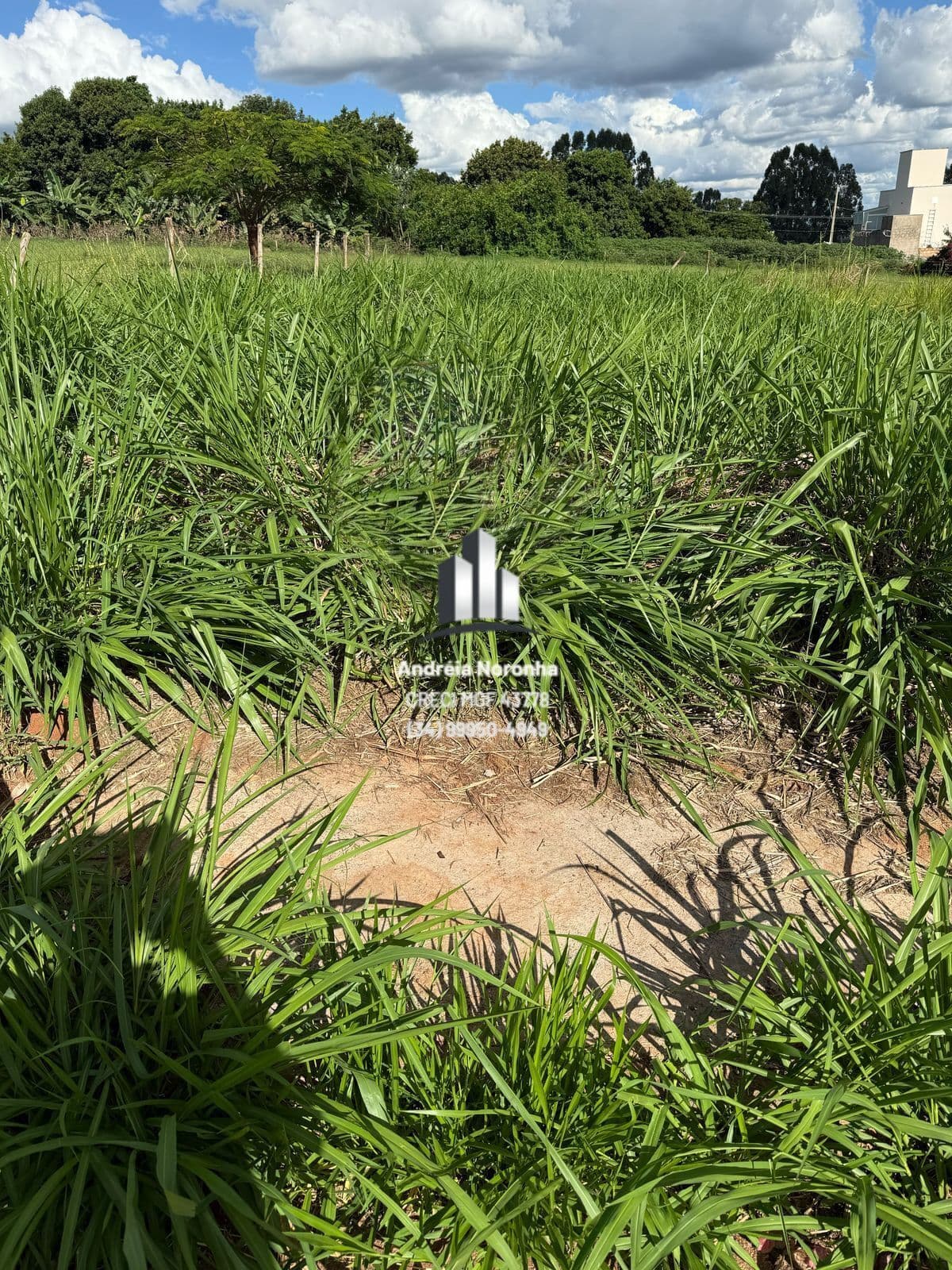 ❇️ LOTE À VENDA NO BAIRRO AFONSO QUEIROZ ❇️