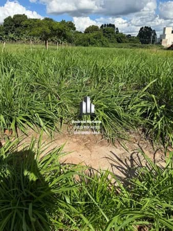 ❇️ LOTE À VENDA NO BAIRRO AFONSO QUEIROZ ❇️