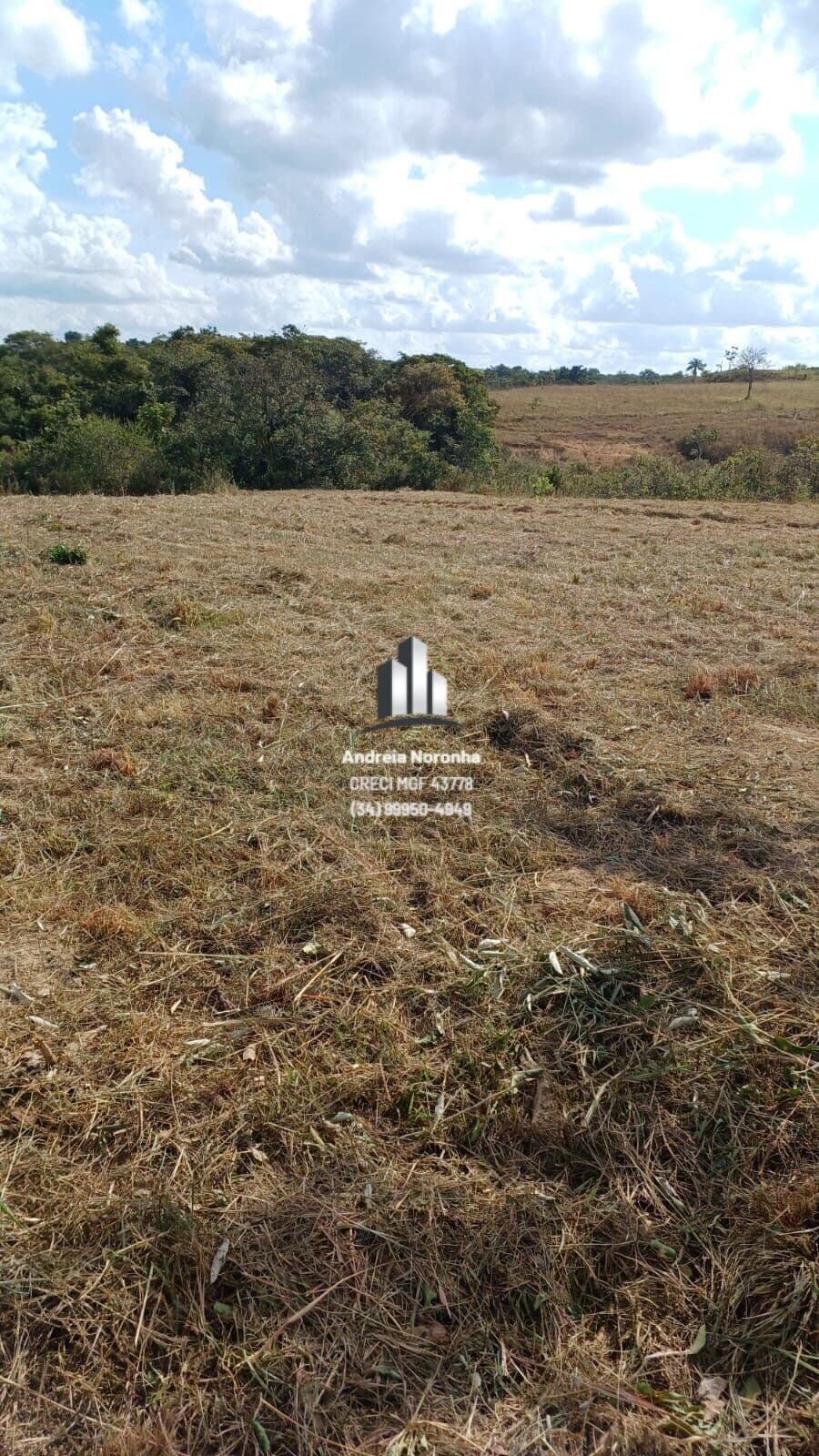 Chácara 2 hectares na região de Lanhosos - Patos de Minas