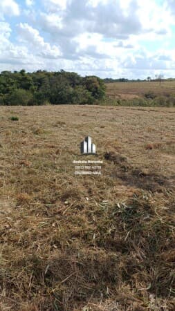 Chácara 2 hectares na região de Lanhosos - Patos de Minas