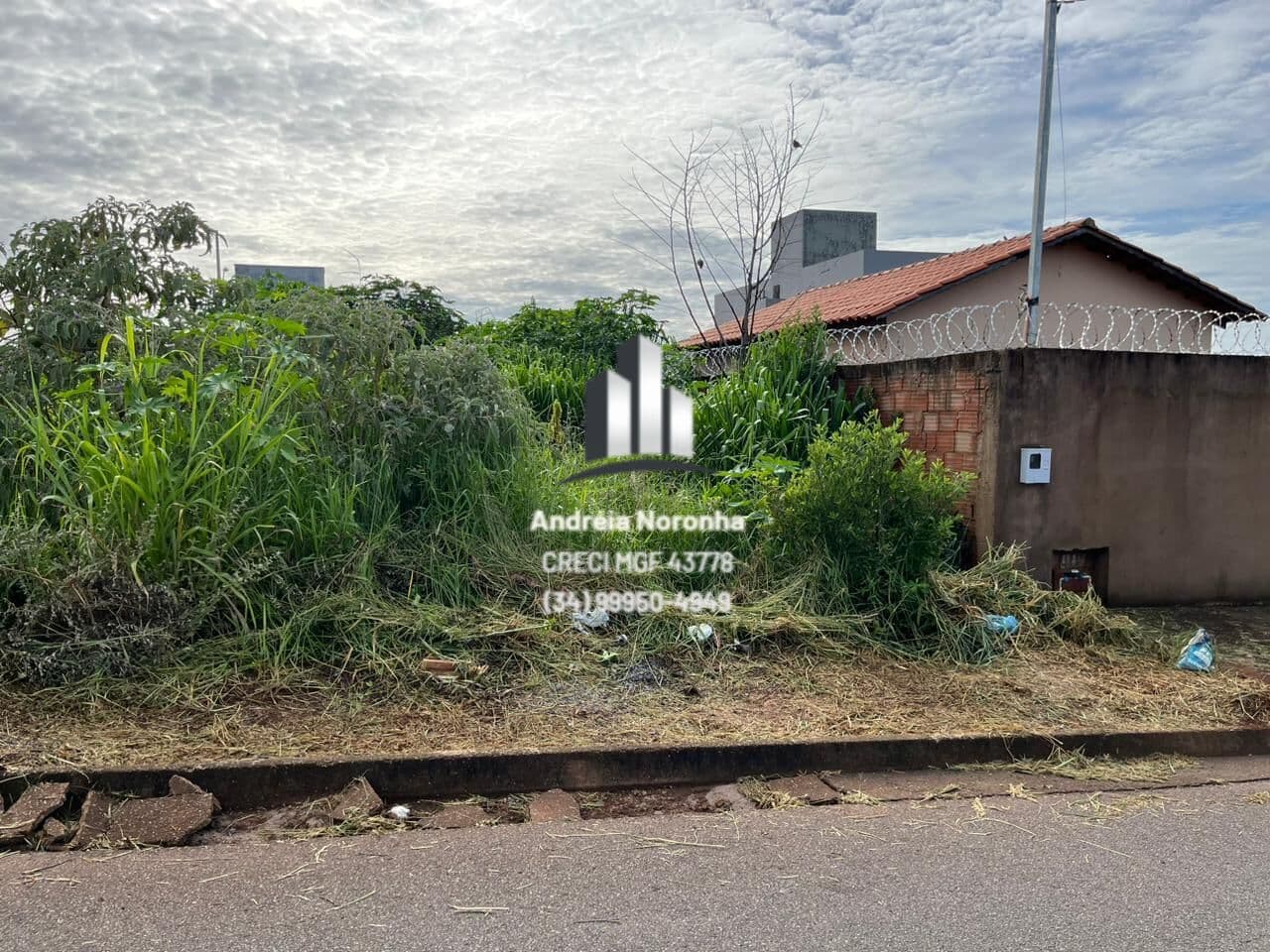 Lote na Avenida do Bairro Jardim Europa