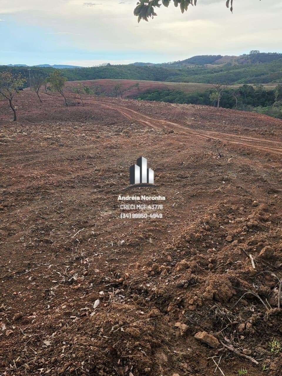 🌳🌴 FAZENDA 43 HECTARES À VENDA NA REGIÃO DE BOASSARA - PATOS DE MINAS 🌳🌴