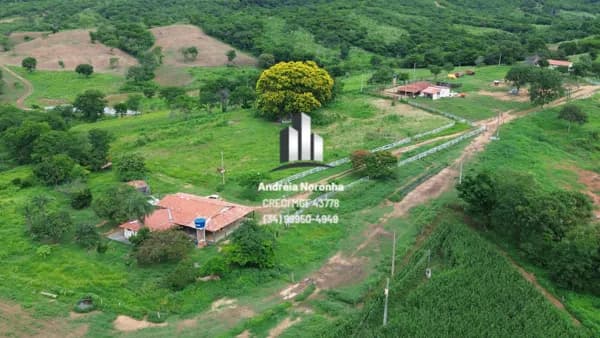 Fazenda 217 hectares em João Pinheiro/MG