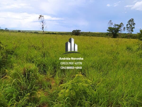 Fazenda 467 Hectares em Buritizeiro/MG