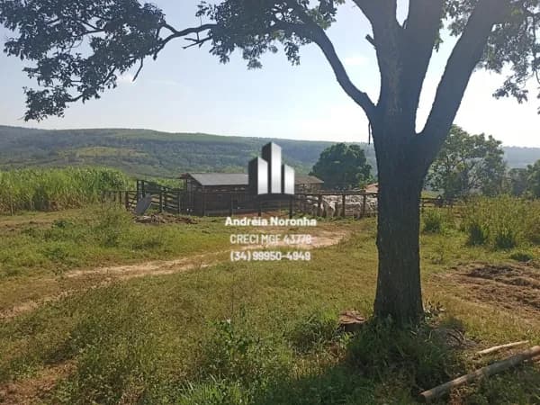 Fazenda 310 Hectares em Presidente Olegário/MG