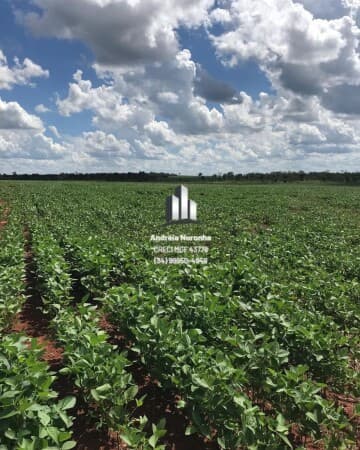 Fazenda 38,5 Alqueires em Monte Alegre/MG