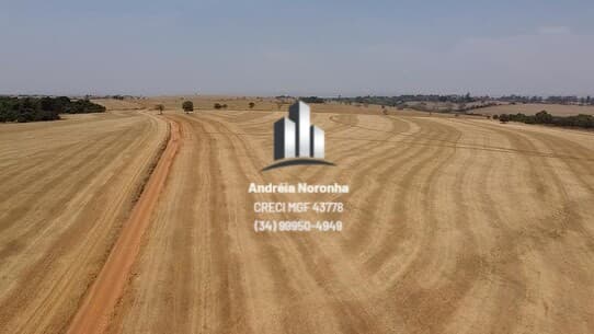 Fazenda 30,78 Alqueirões em Perdizes/MG