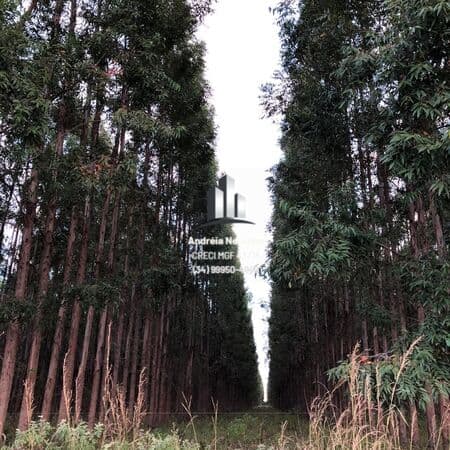 Fazenda 1.799 Hectares em Montes Claros/MG