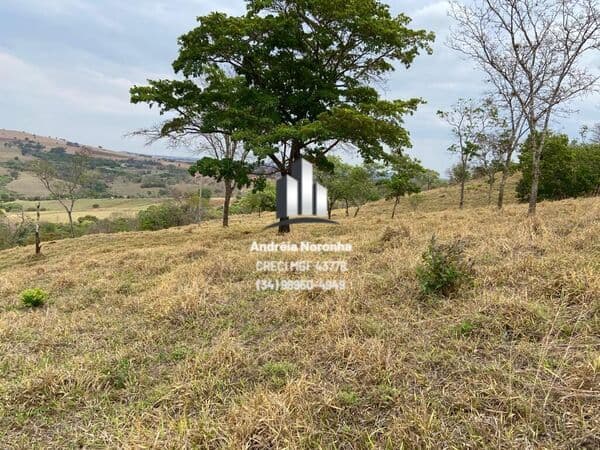 Fazenda 37 Hectares, próxima à Patos