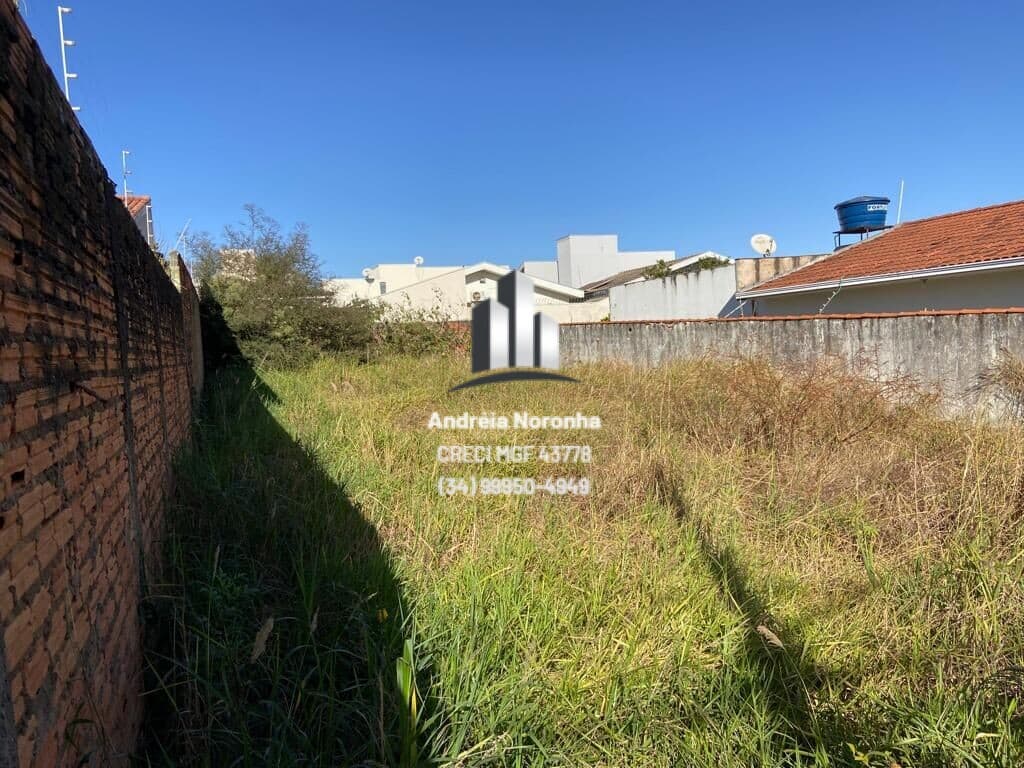 Lote na Avenida do Bairro Jardim Califórnia