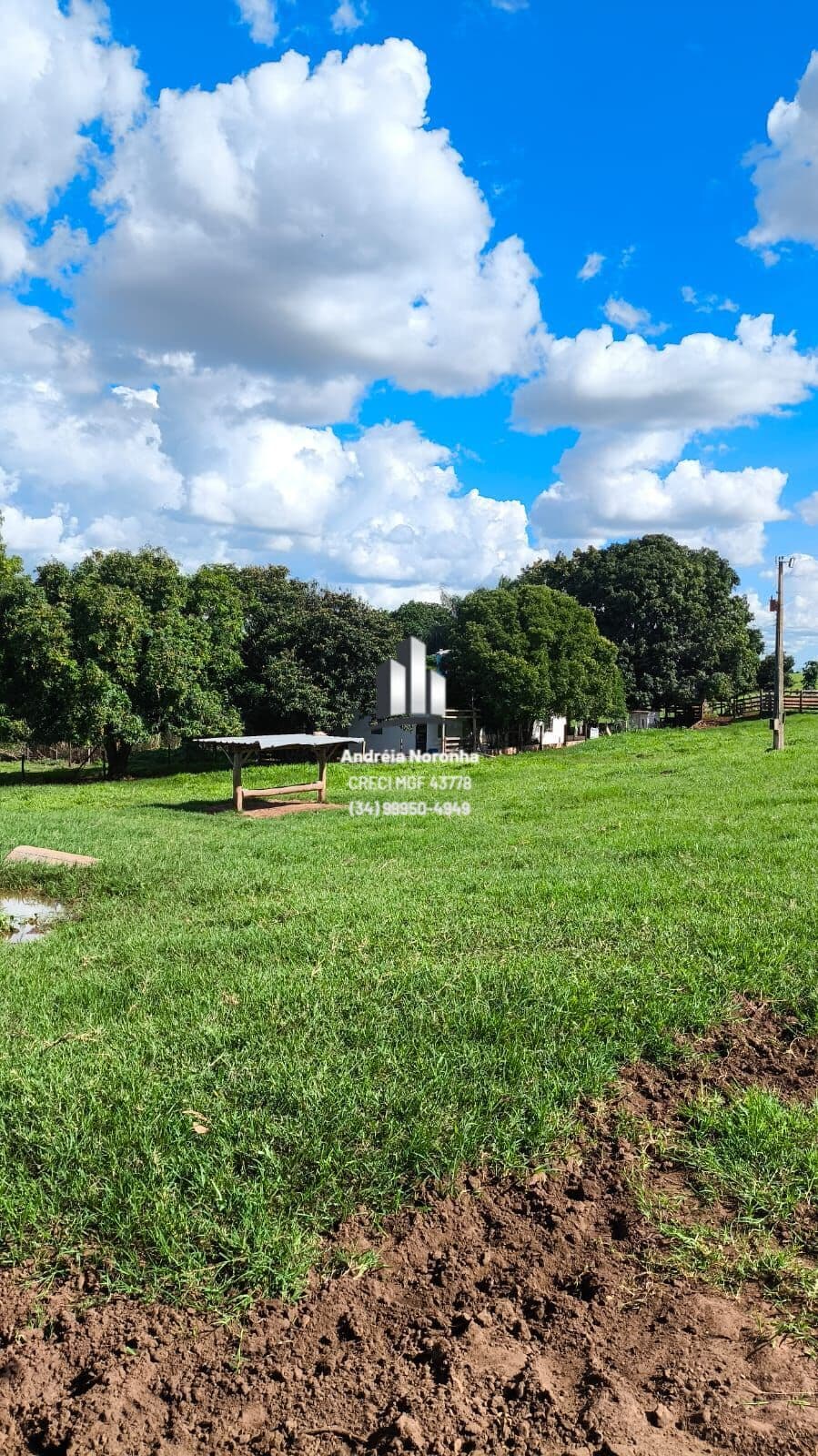 Fazenda 247 hectares na Região de Patos de Minas/MG