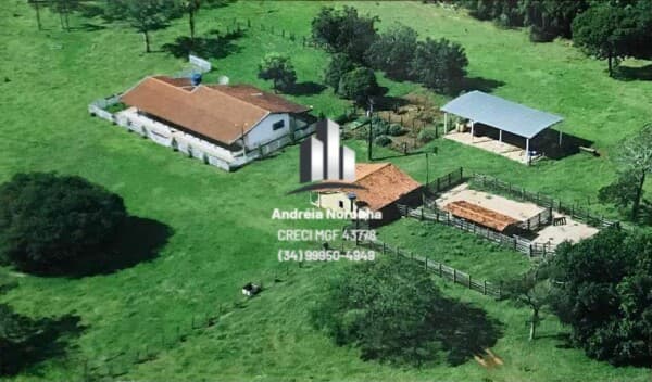 Fazenda 52 Alqueirões em Itapagipe/MG