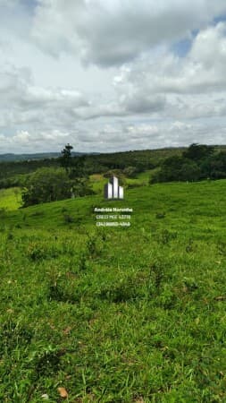 Fazenda 347 Hectares em Monte Carmelo/MG