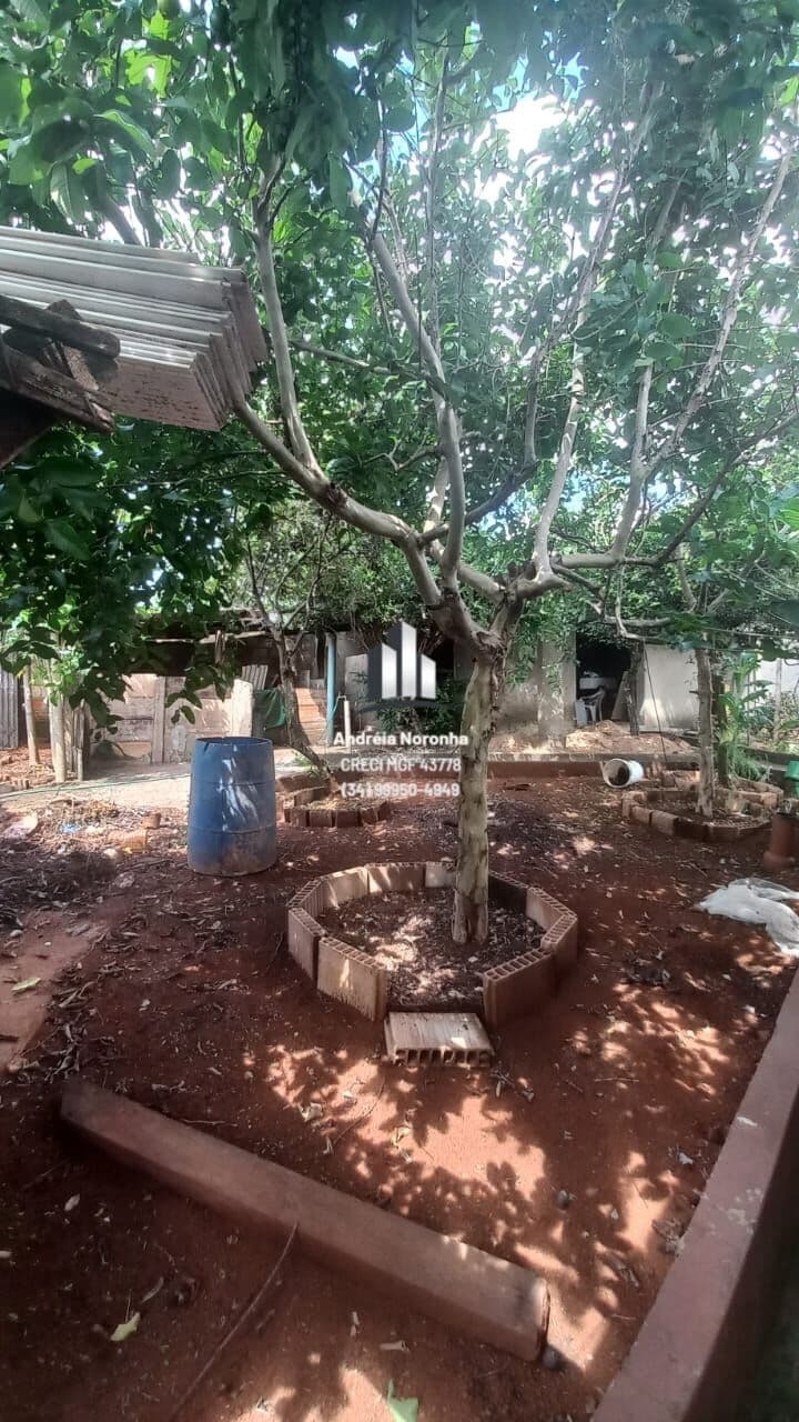 🌴CHÁCARA A VENDA EM SERTÃOZINHO 🌴