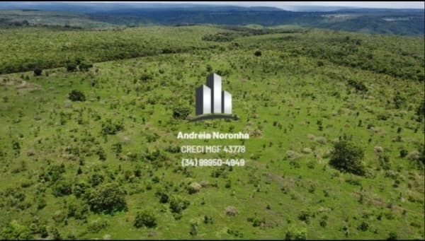 Fazenda 600 Hectares em Presidente Olegário/MG