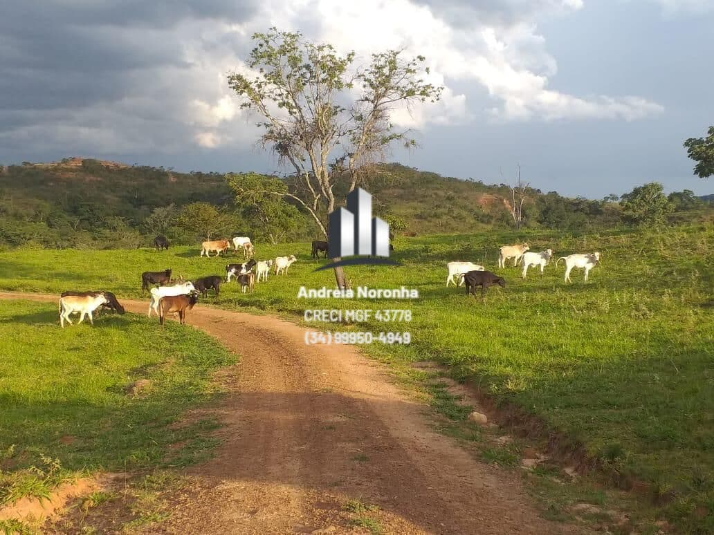 Fazenda 163 hectares em Varjão de Minas/MG