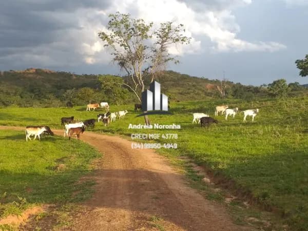 Fazenda 163 hectares em Varjão de Minas/MG