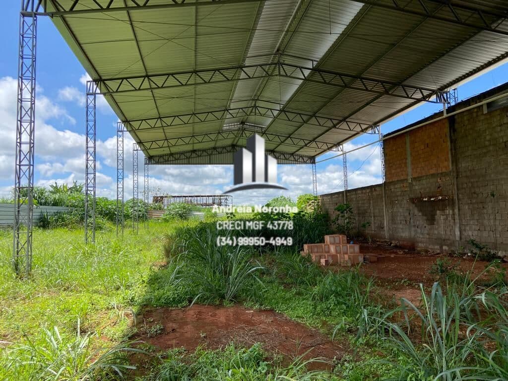 Terreno Comercial com Barracão as margens da BR 365