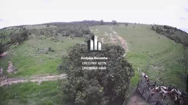 🌳🌴 FAZENDA COM 150ha EM PRESIDENTE OLEGÁRIO 🌳🌴