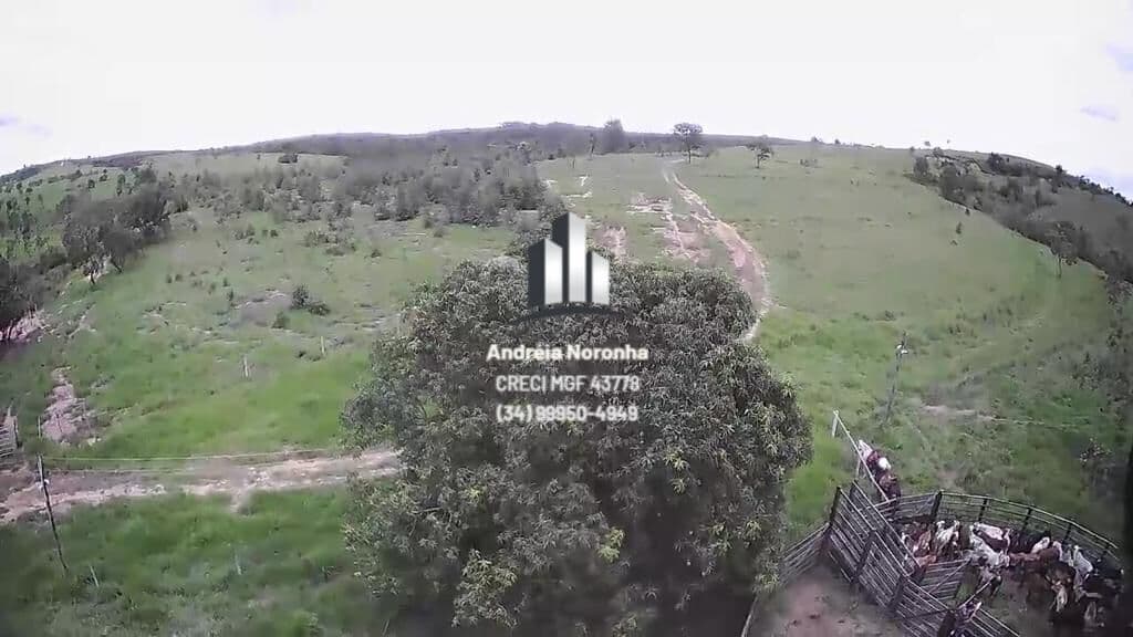 🌳🌴 FAZENDA COM 150ha EM PRESIDENTE OLEGÁRIO 🌳🌴