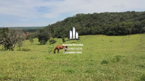 🌴🌳 FAZENDA DE 27 HECTARES NA REGIÃO DE VARJÃO DE MINAS 🌴🌳