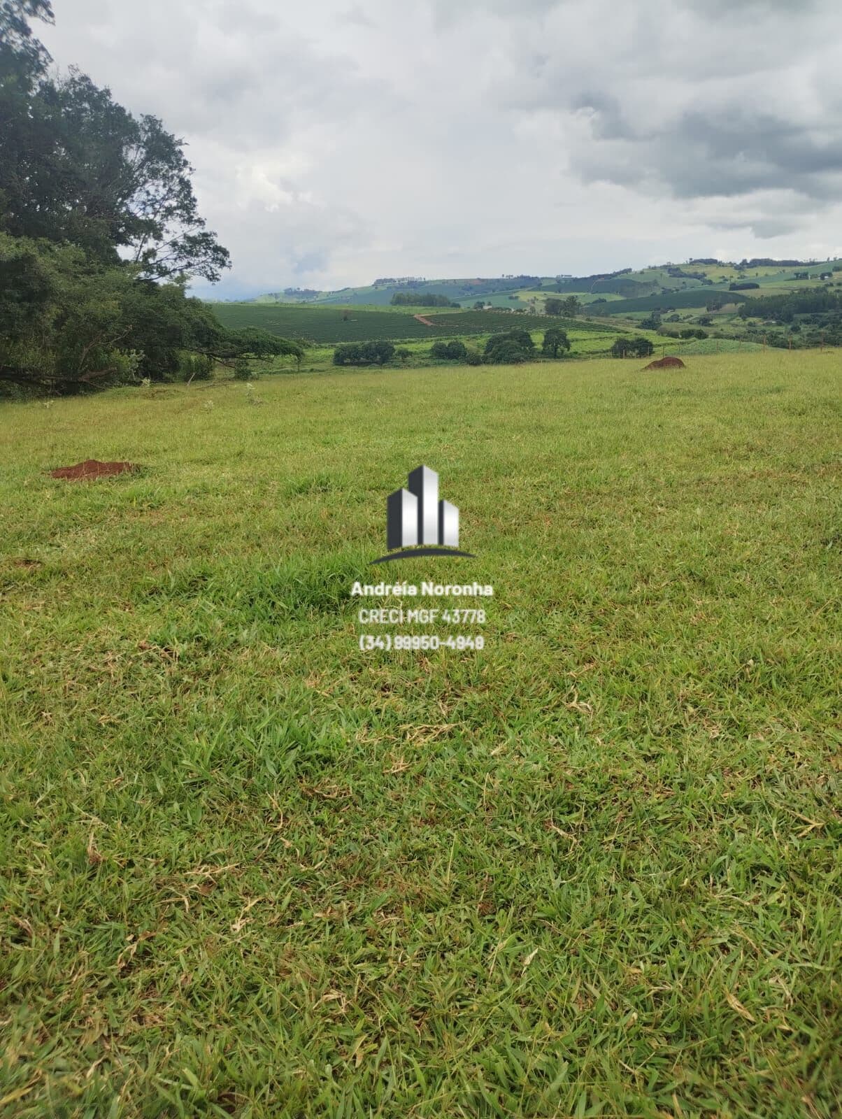 🌳🌴 SÍTIO 7 HECTARES NA MATA DOS FERNANDES 🌳🌴