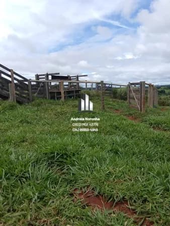 Chácara 4 hectares na região dos Paulistas