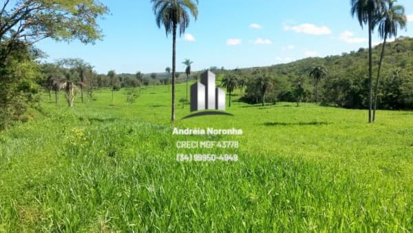 Fazenda 662 Hectares próxima à JK, município de São Gonçalo do Abaeté/MG