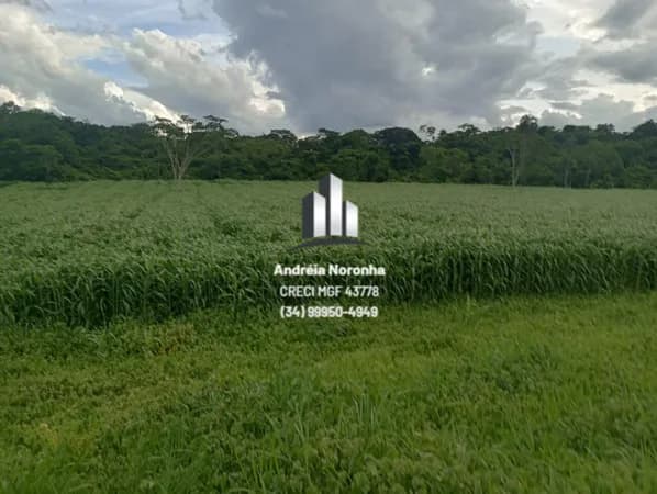 Fazenda 82 hectares em Vazante/MG