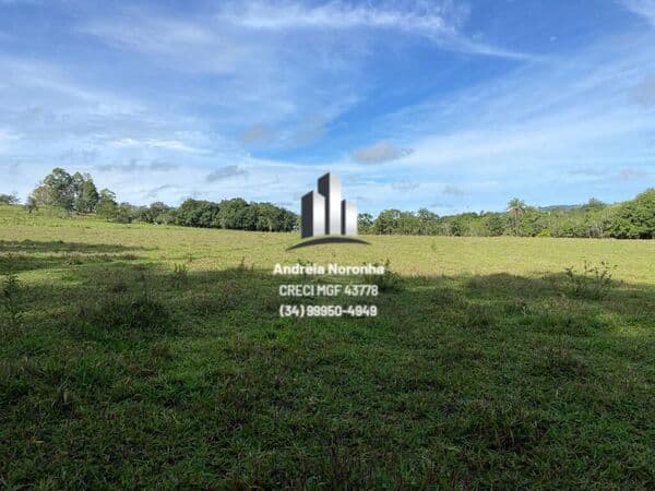 Fazenda 24 Hectares no Areado